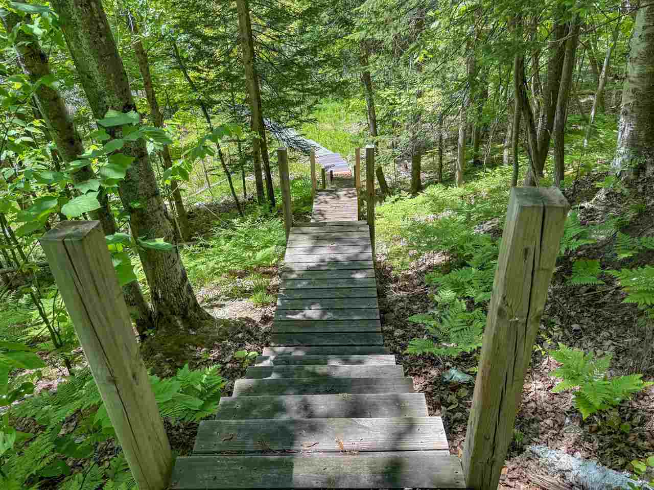 5185 E Burt Lake Road Cheboygan MI 49721