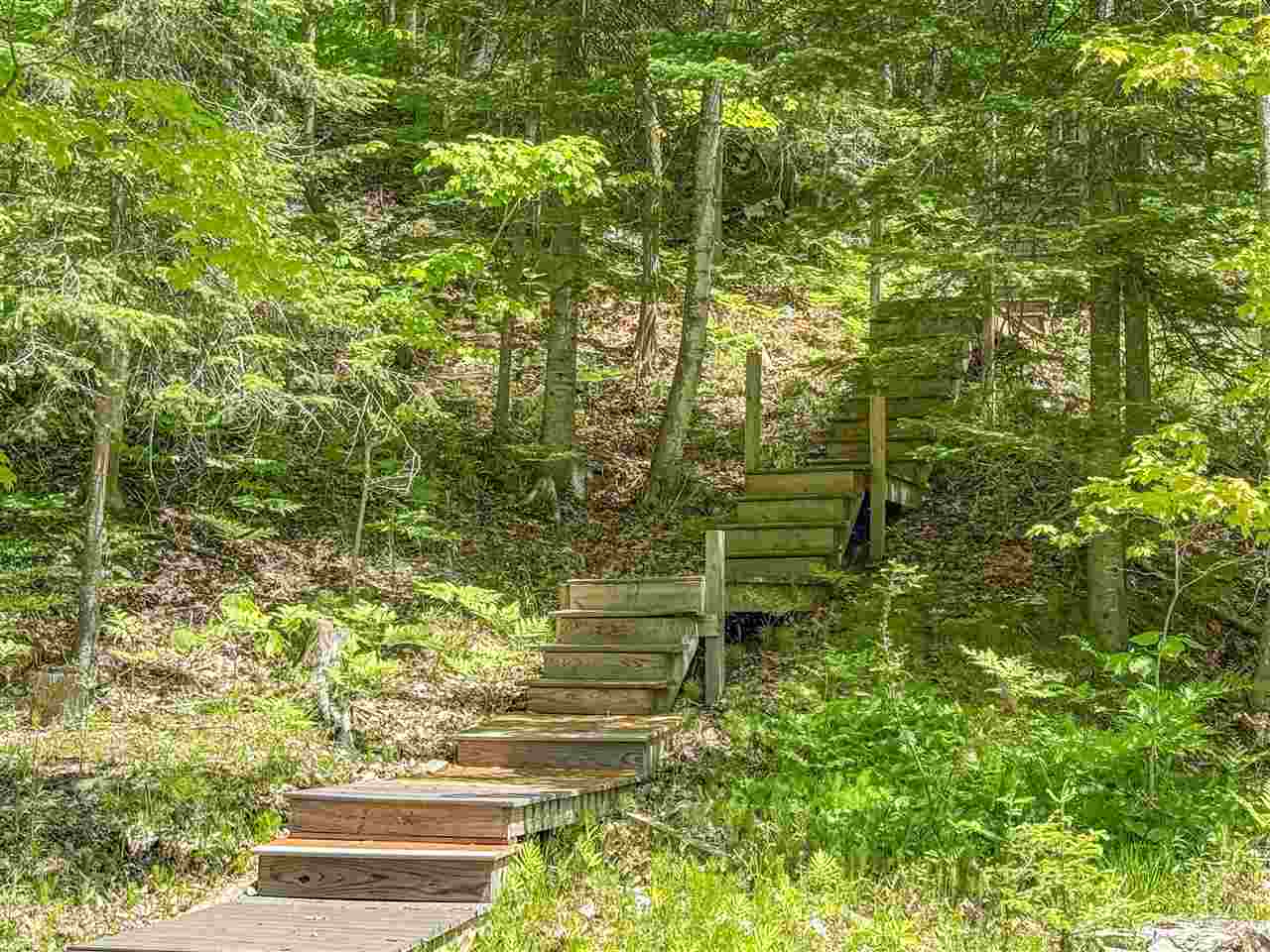 5185 E Burt Lake Road Cheboygan MI 49721