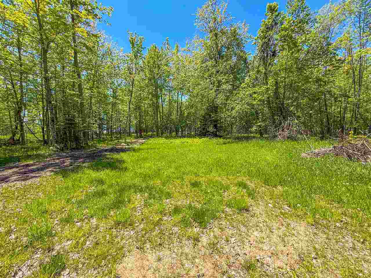 5185 E Burt Lake Road Cheboygan MI 49721