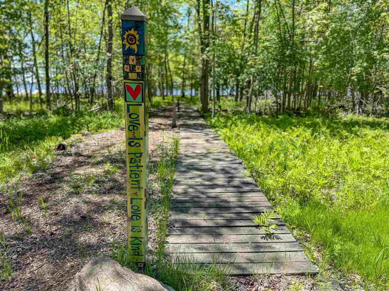 5185 E Burt Lake Road Cheboygan MI 49721