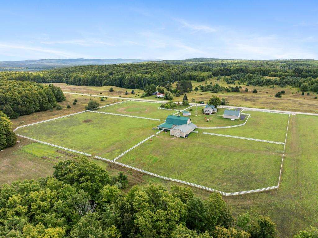 2324 W Van Road Pellston MI 49769