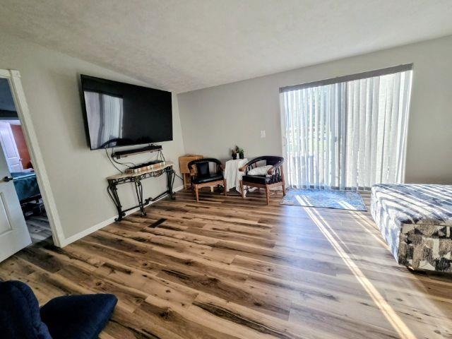 8811 N. East Limits Mancelona MI 49659