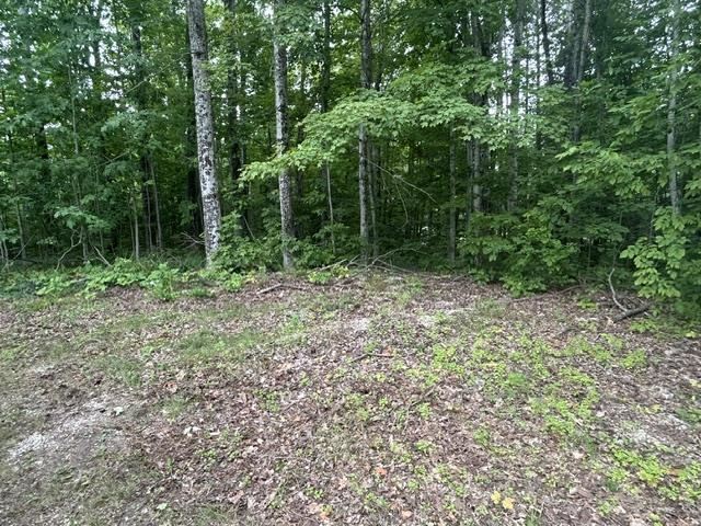 6612 E Levering Road Levering MI 49755