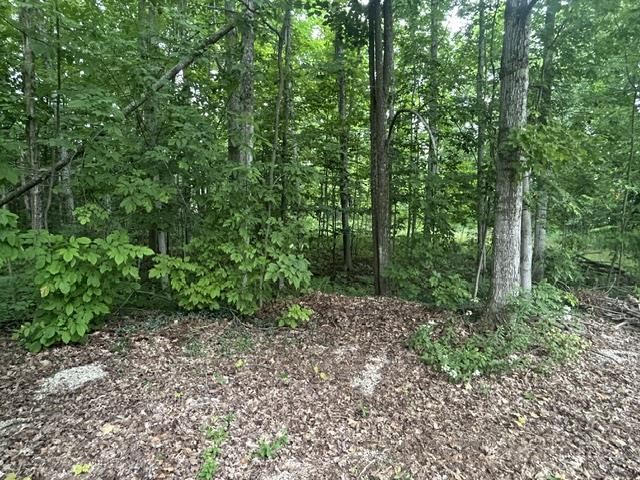6612 E Levering Road Levering MI 49755