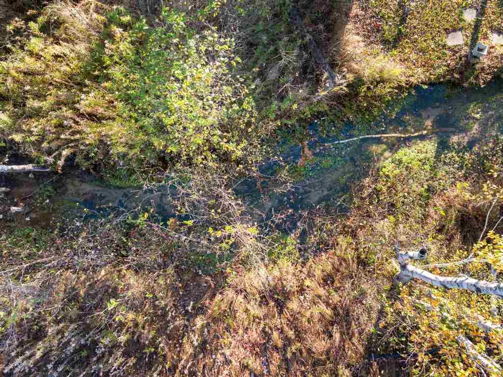 8745 Sandy Street Alanson MI 49706