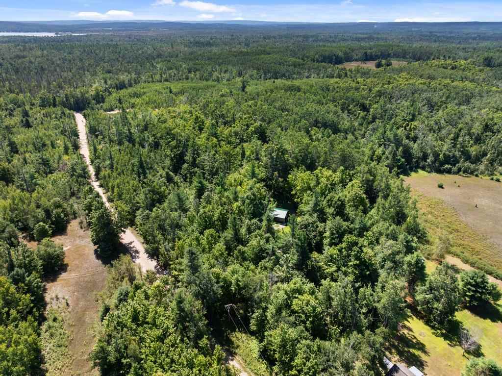 2715 Indian Road Brutus MI 49716