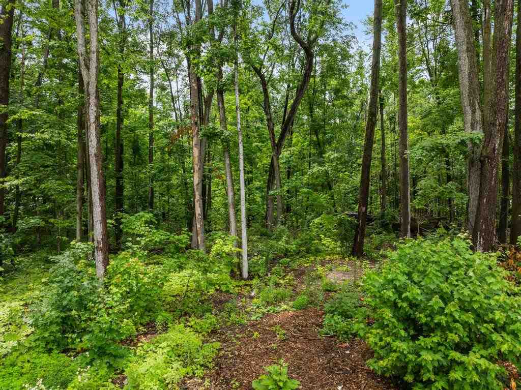 4779 Beechwood Avenue Gaylord MI 49735