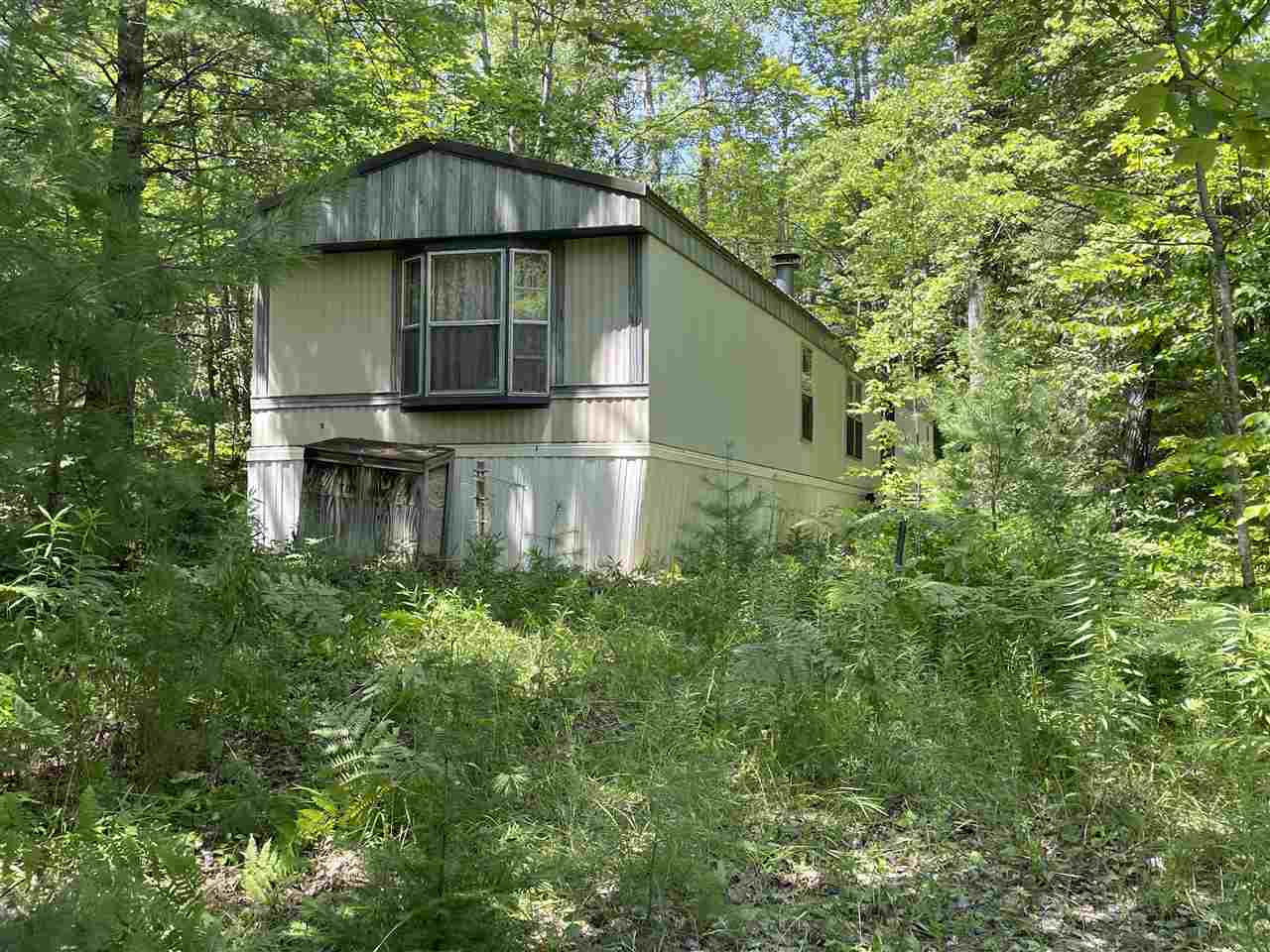 1731 Mont Gabriel Road Wolverine MI 49799