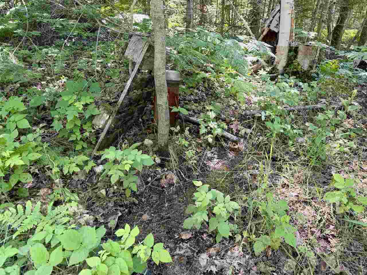 30475 East Side Drive Beaver Island MI 49782