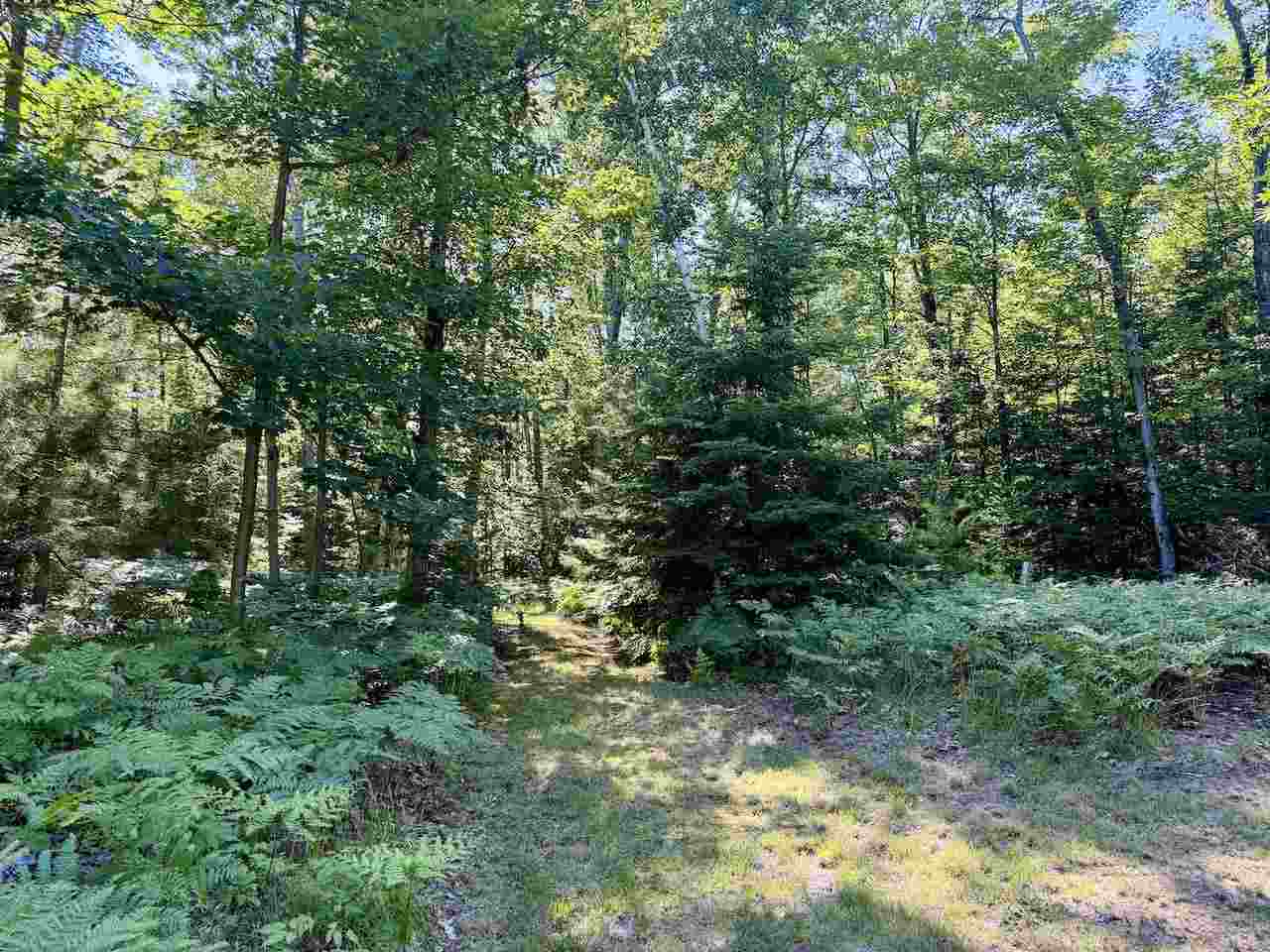 30475 East Side Drive Beaver Island MI 49782