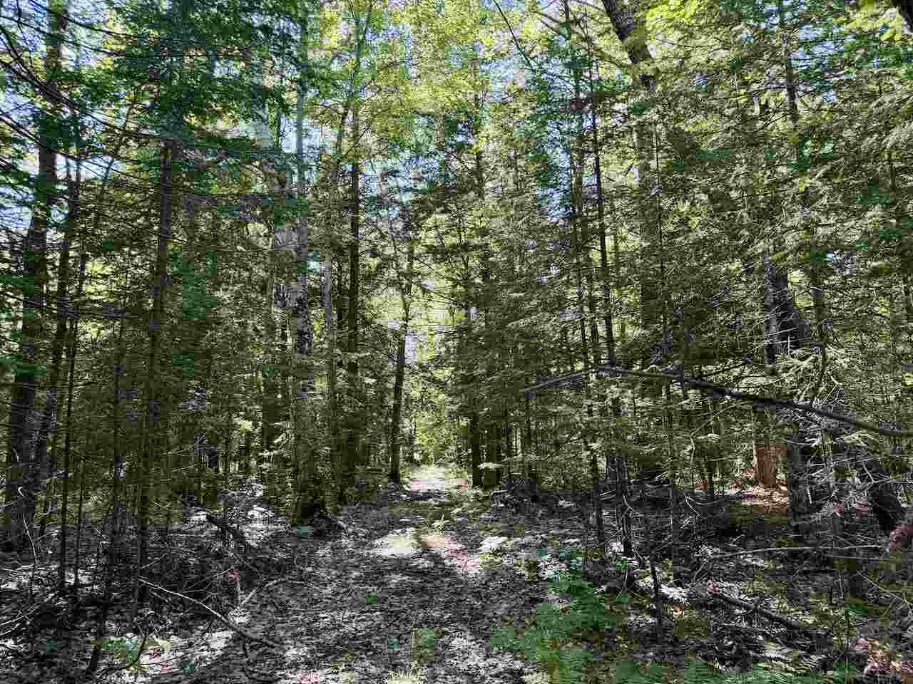 30475 East Side Drive Beaver Island MI 49782