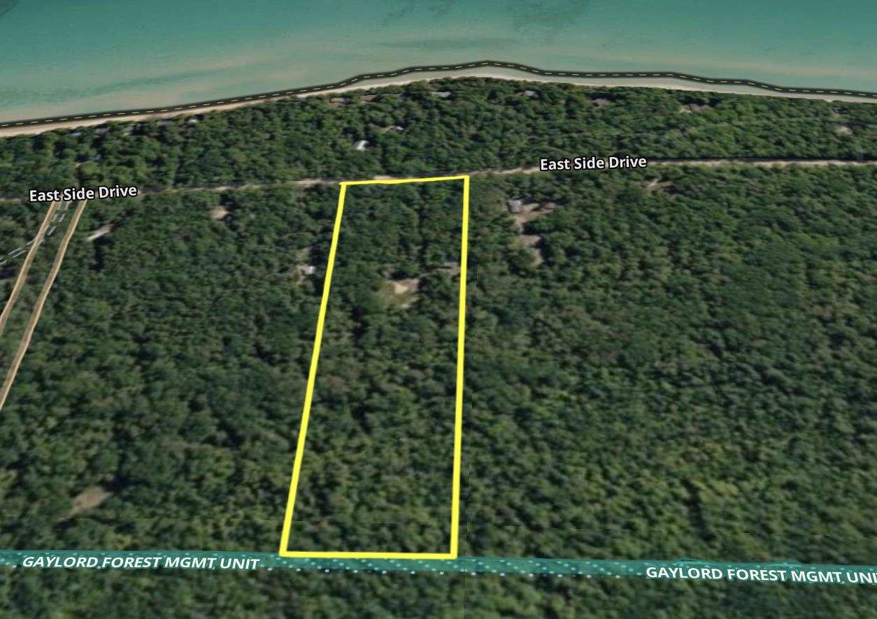30475 East Side Drive Beaver Island MI 49782