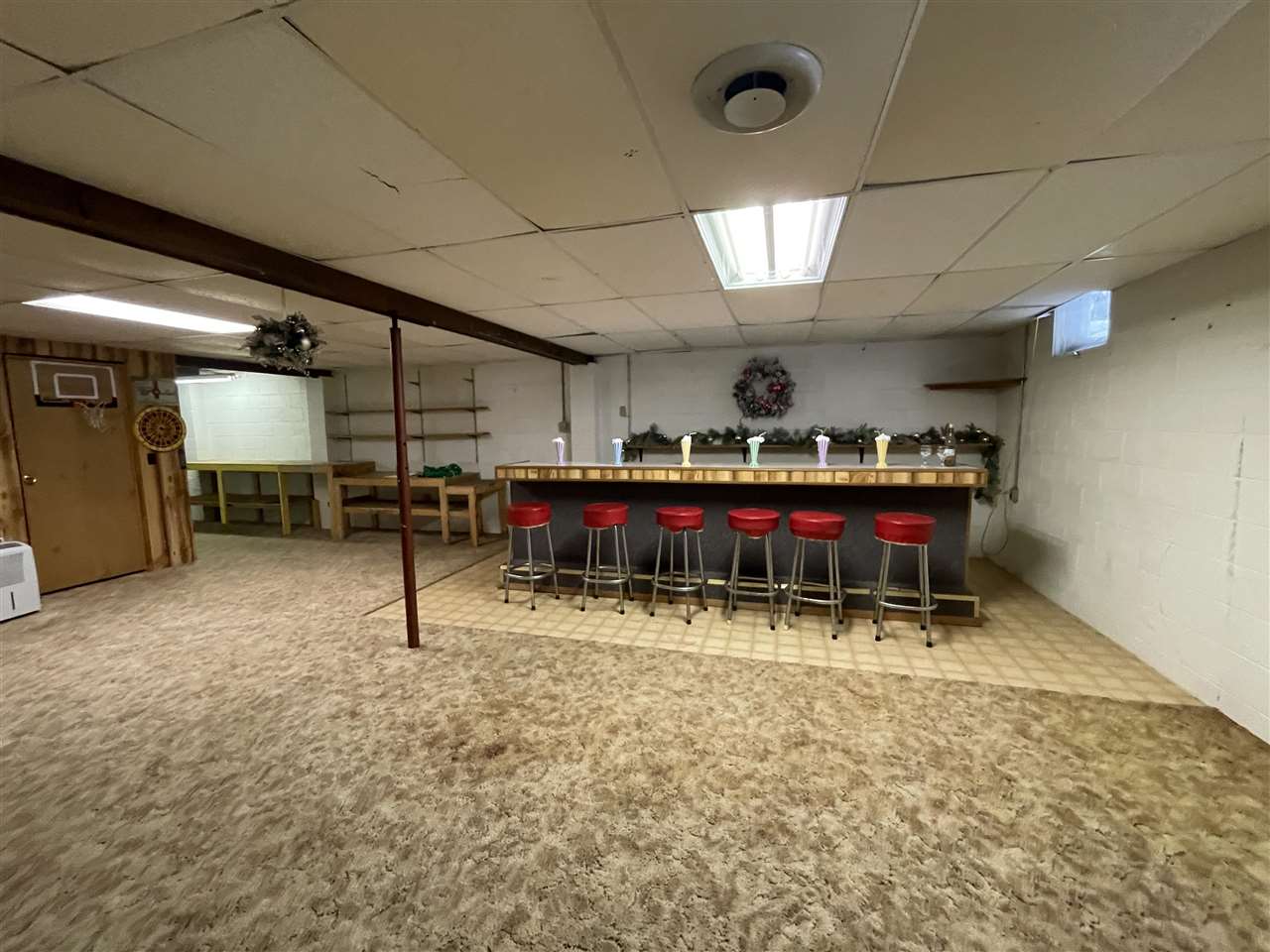 7731 Moore Road Alanson MI 49706