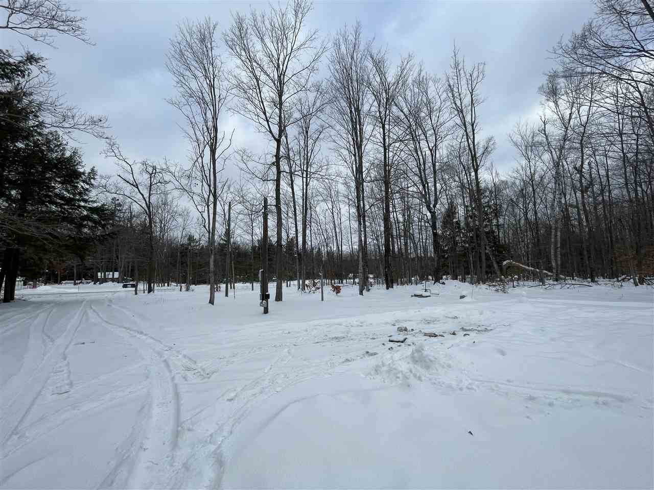 7731 Moore Road Alanson MI 49706