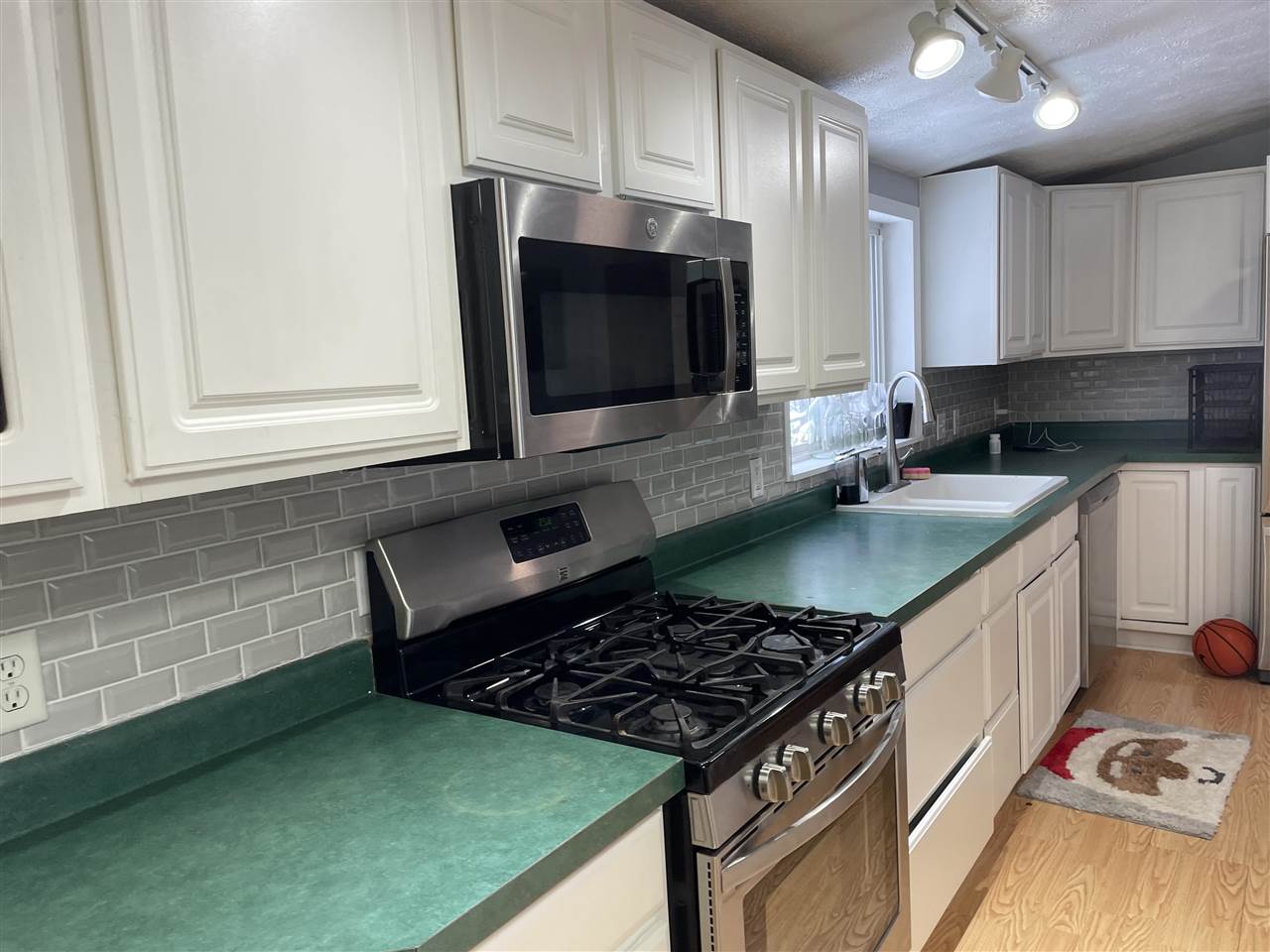 7731 Moore Road Alanson MI 49706