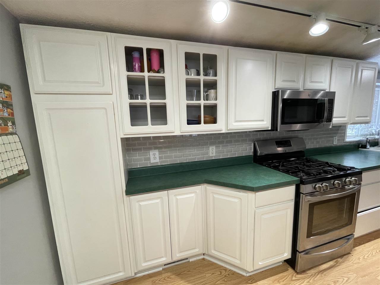 7731 Moore Road Alanson MI 49706