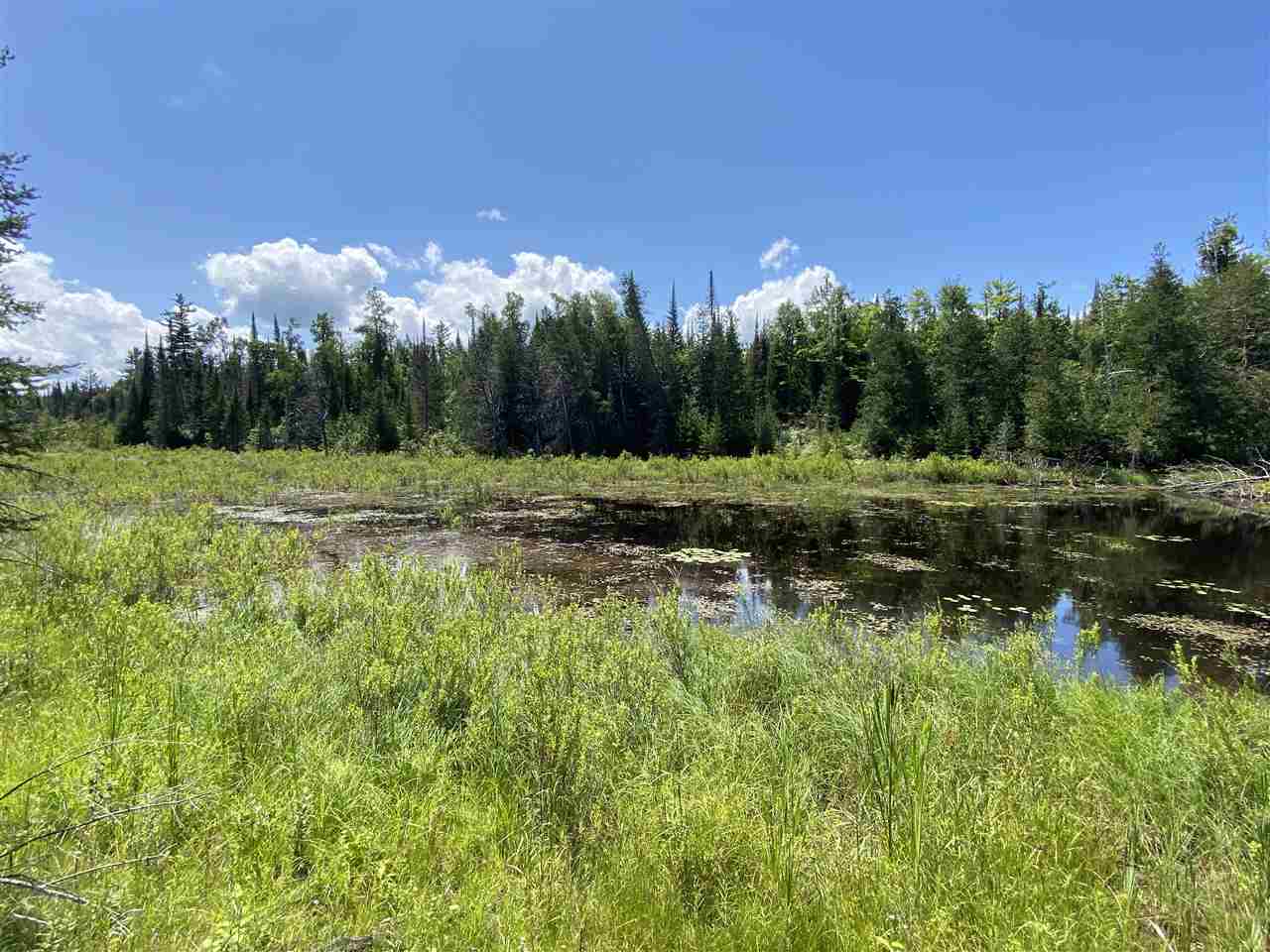 2086 Walker Road Afton MI 49705