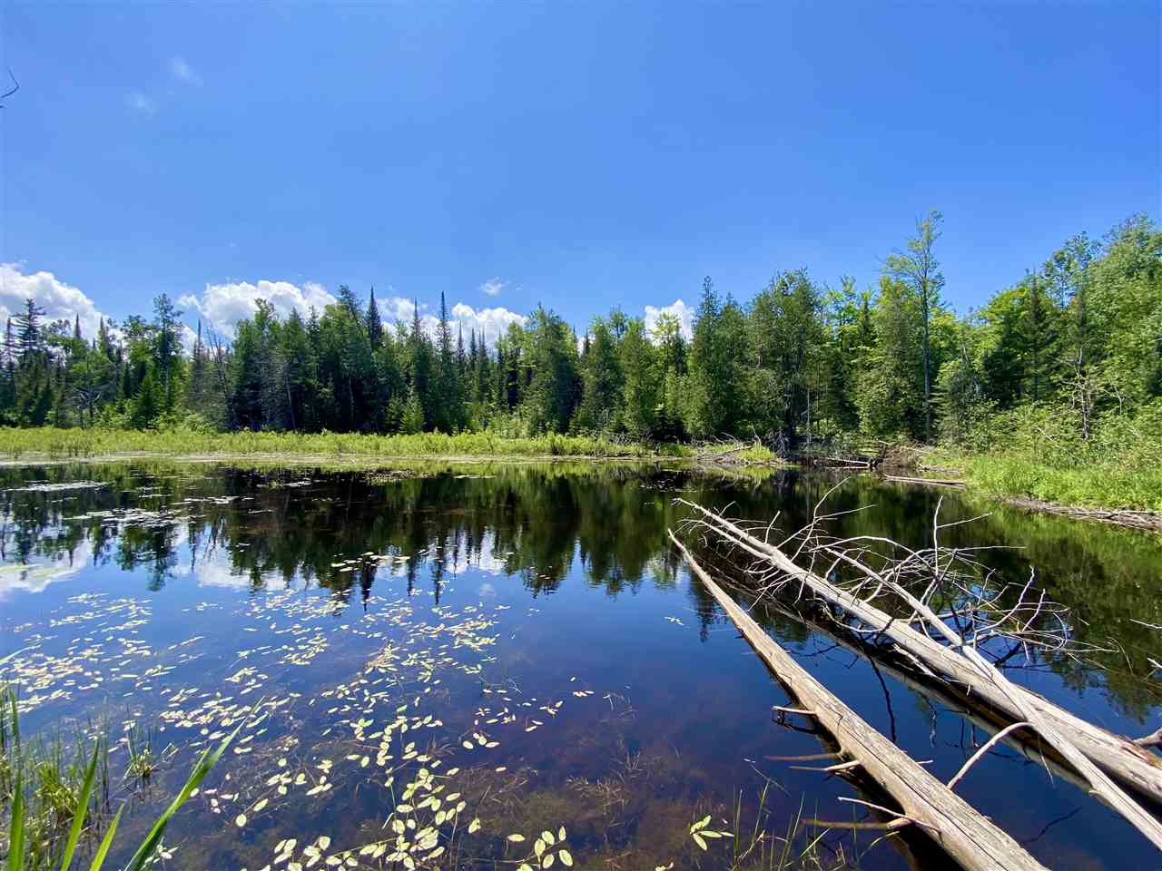 2086 Walker Road Afton MI 49705