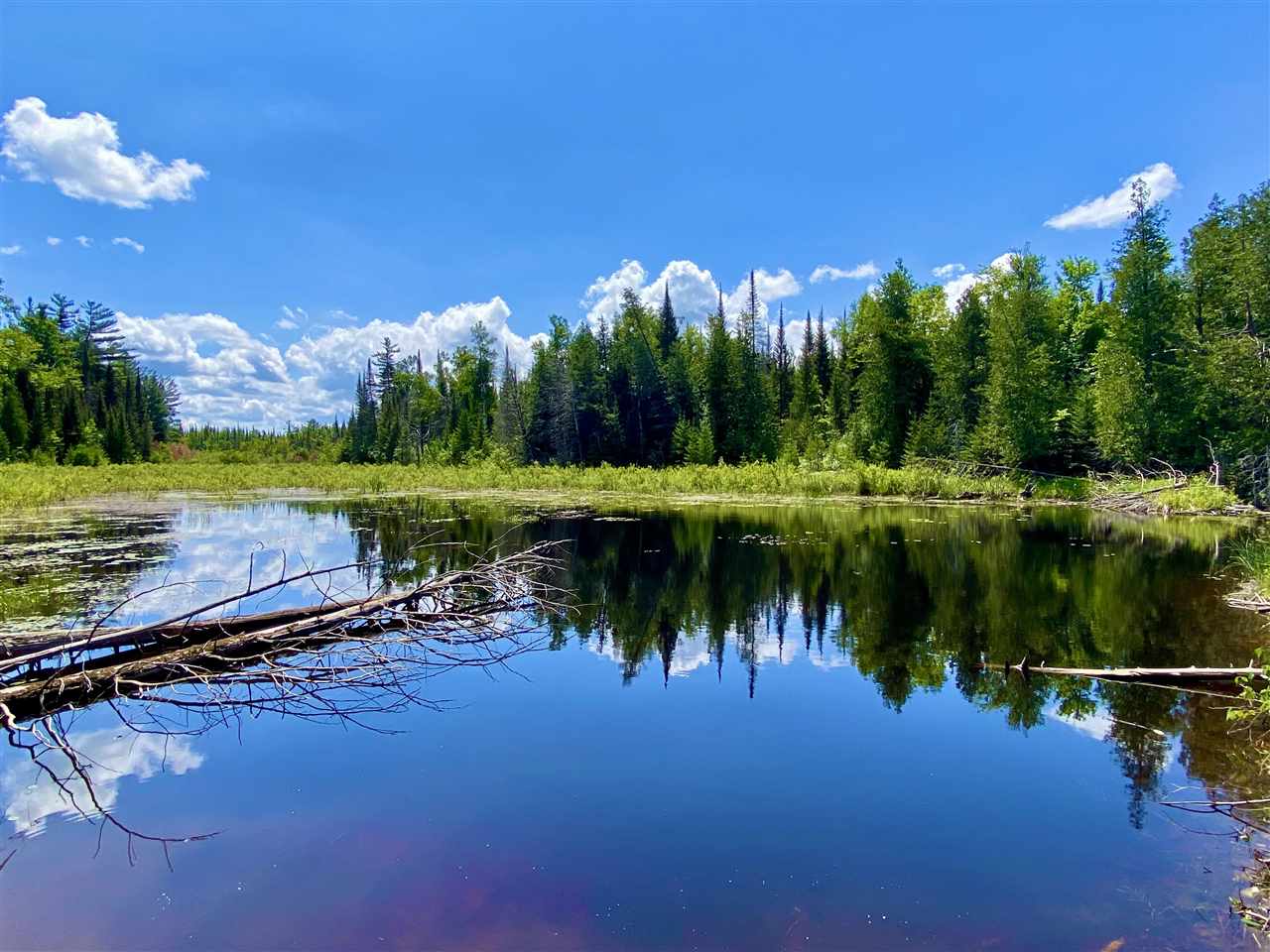 2086 Walker Road Afton MI 49705