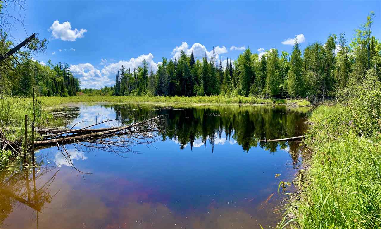 2086 Walker Road Afton MI 49705