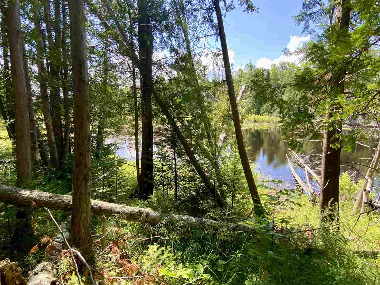 2086 Walker Road Afton MI 49705