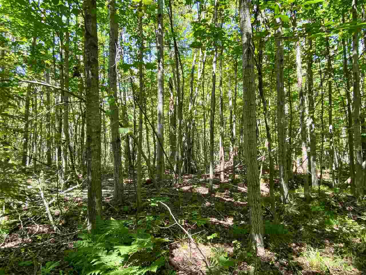 2086 Walker Road Afton MI 49705