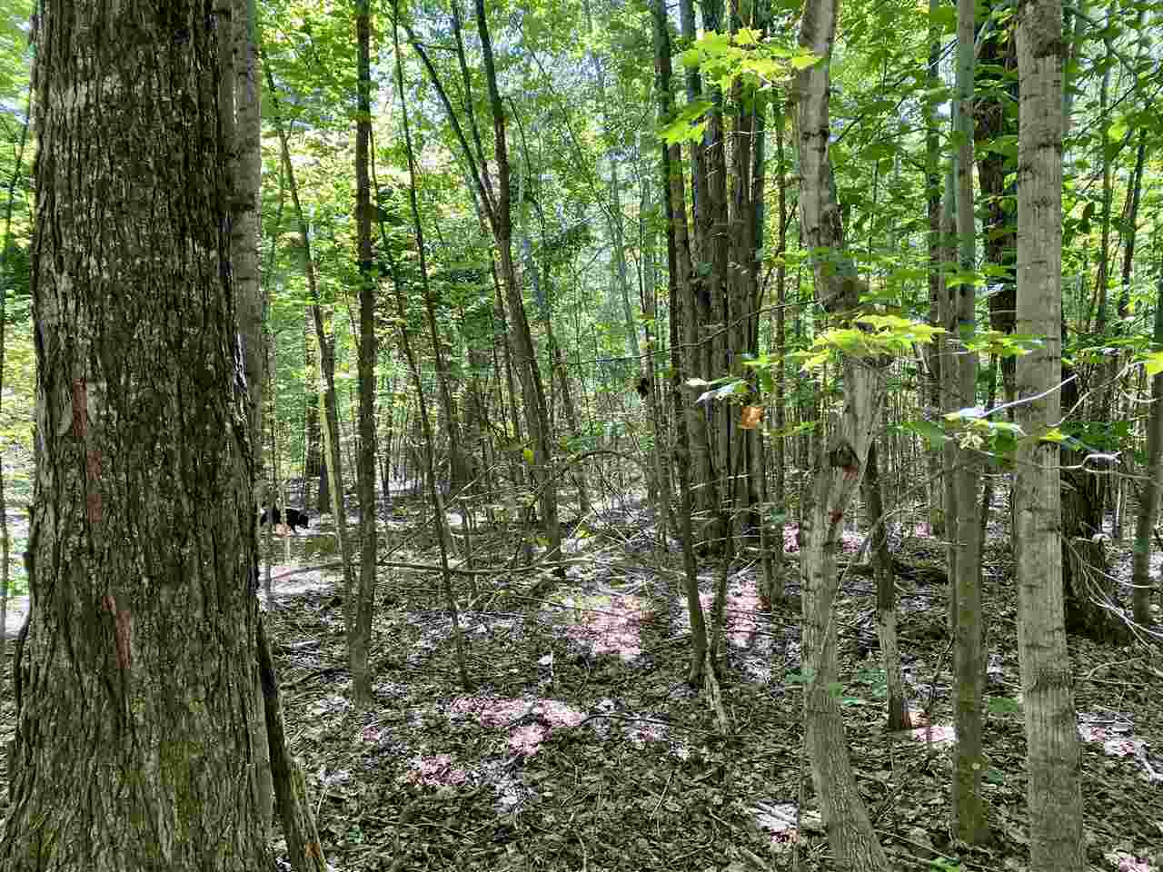 2086 Walker Road Afton MI 49705