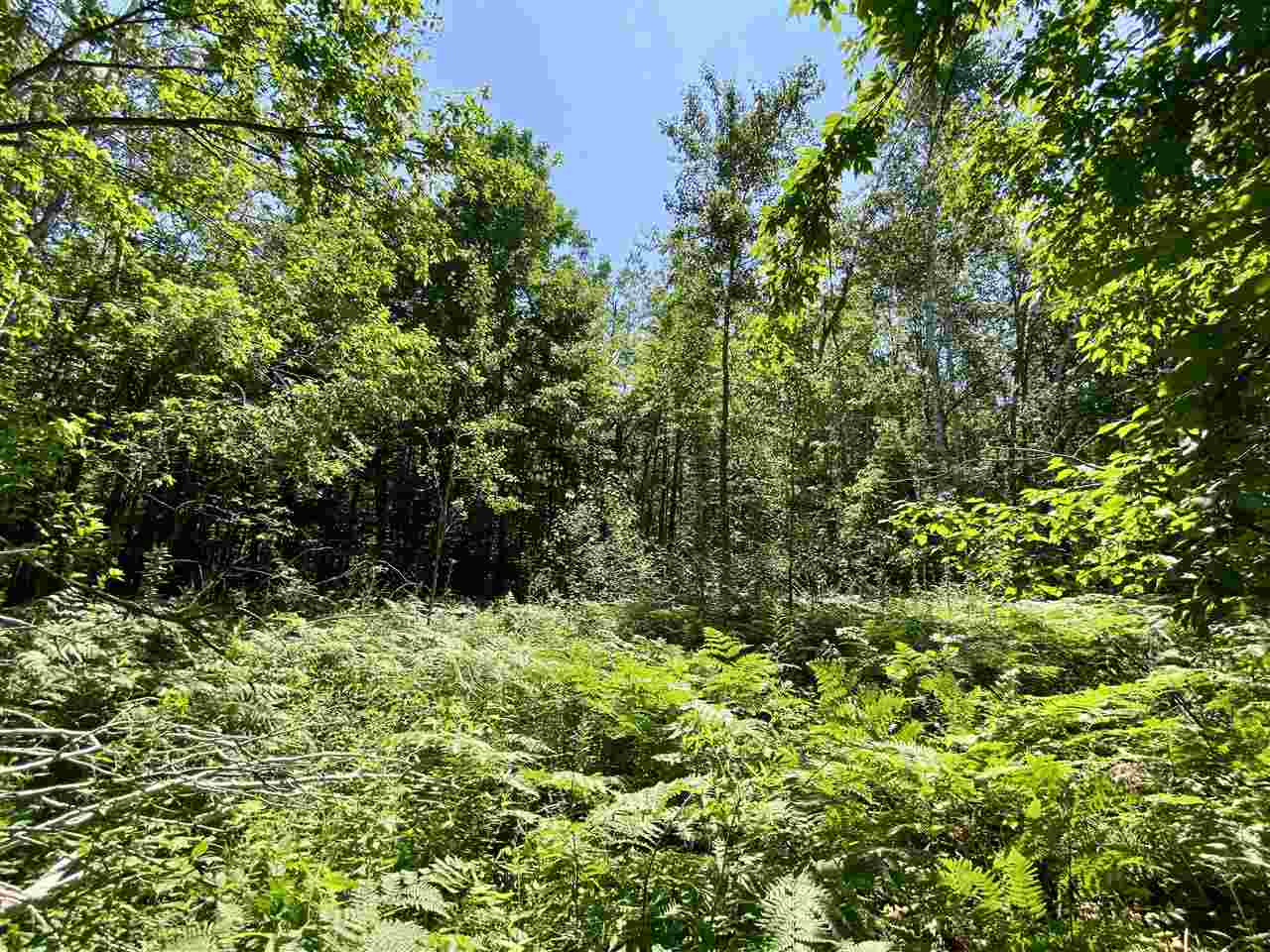 2086 Walker Road Afton MI 49705