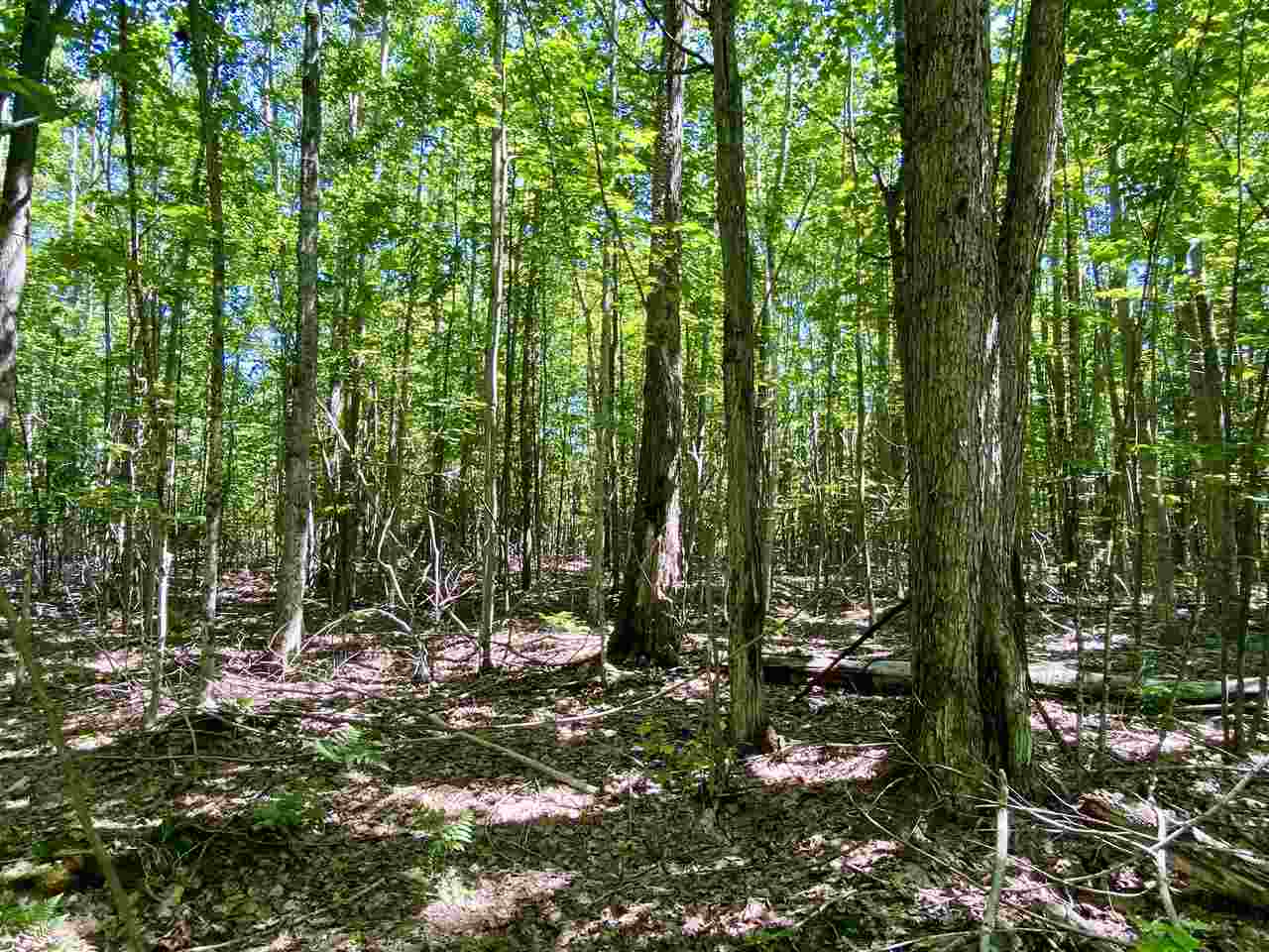 2086 Walker Road Afton MI 49705