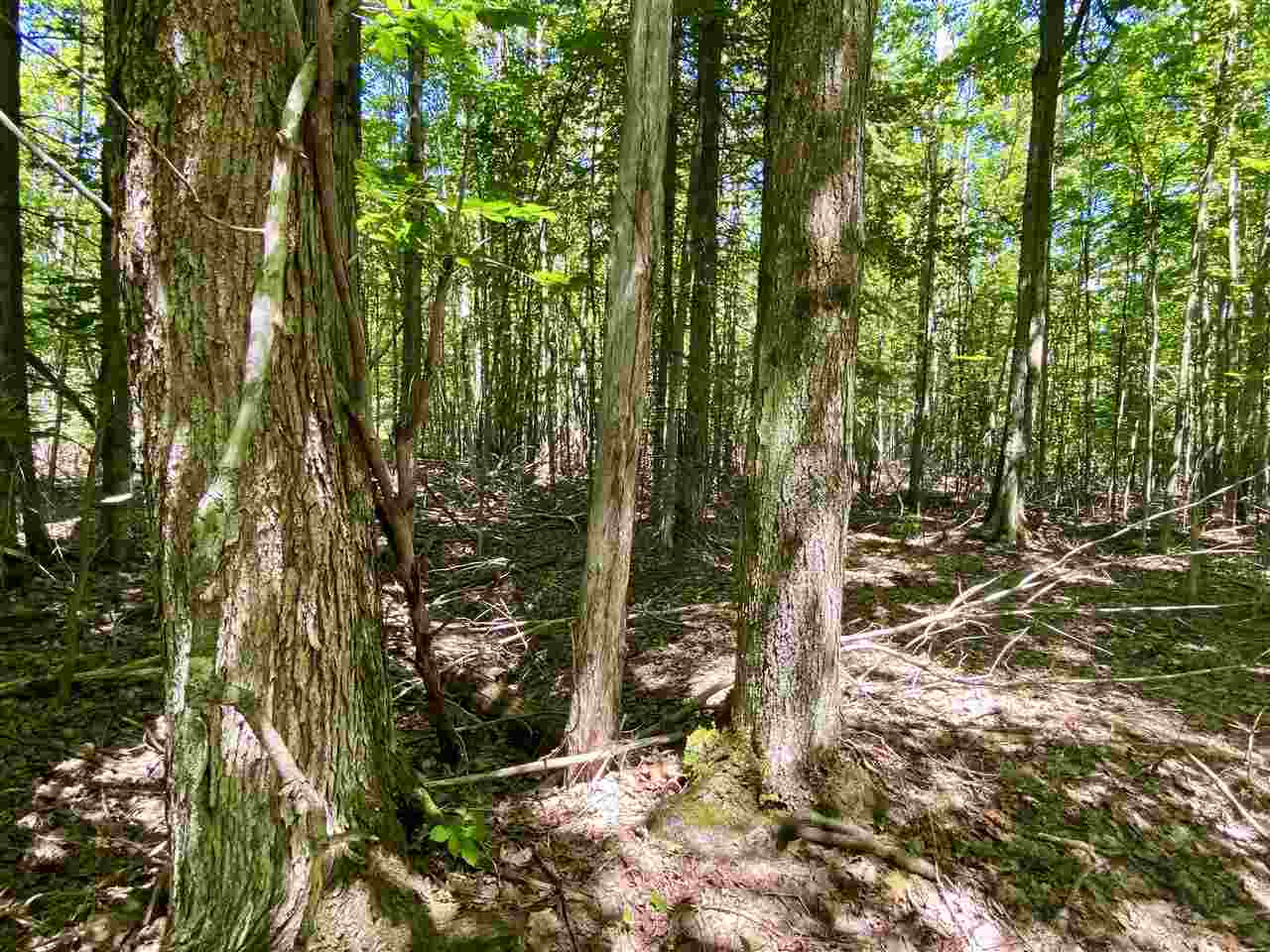 2086 Walker Road Afton MI 49705