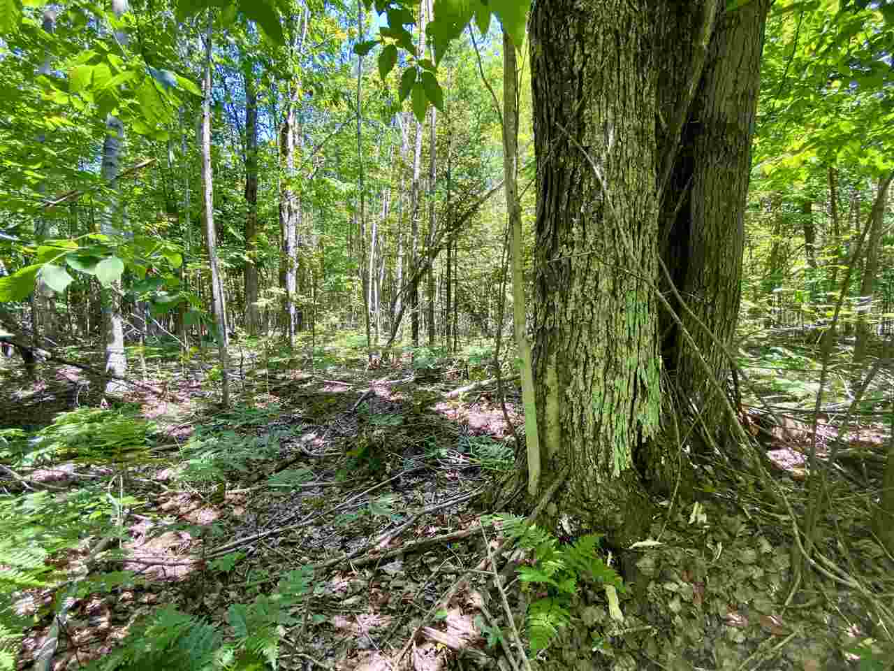 2086 Walker Road Afton MI 49705