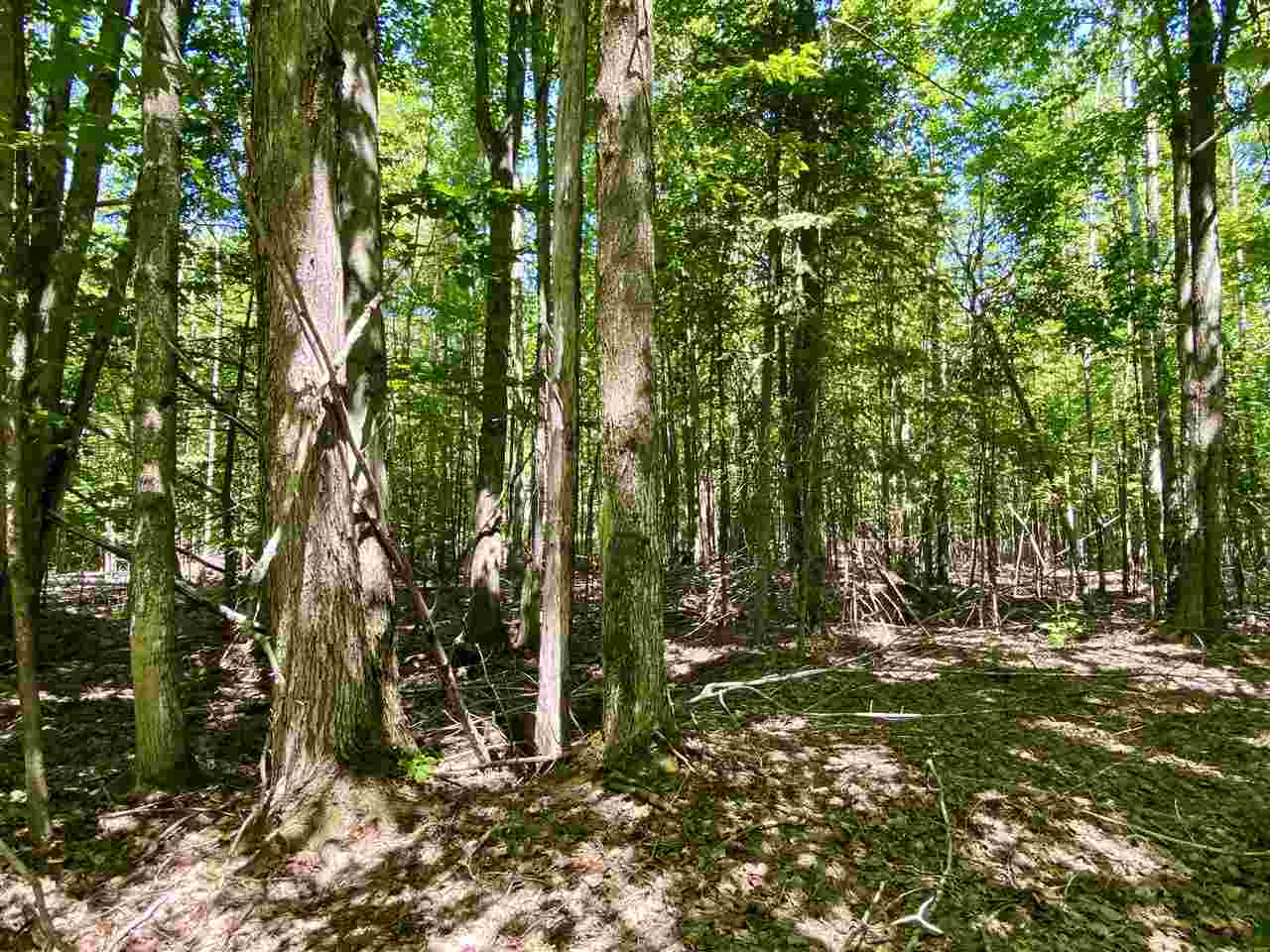 2086 Walker Road Afton MI 49705