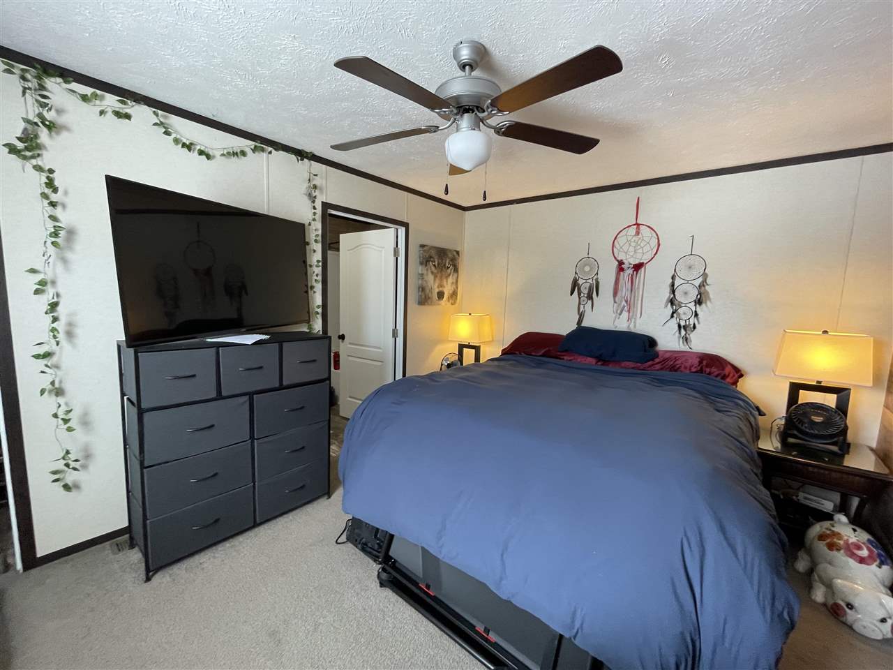 8584 Park Way Alanson MI 49706