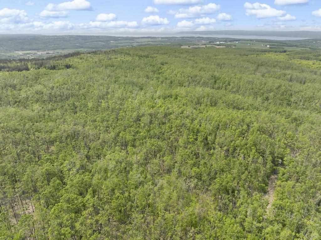 03221 Krause Road Petoskey MI 49770