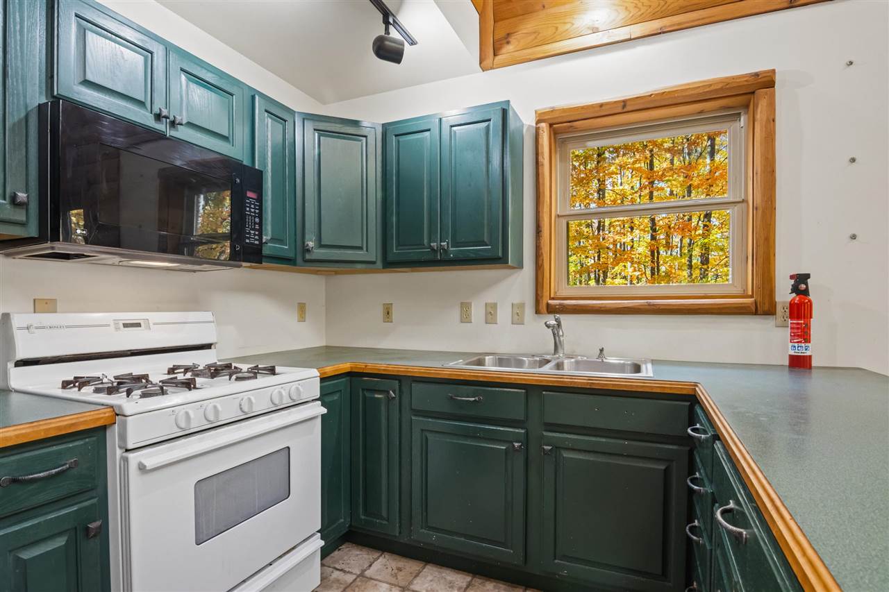 8536 Mapleridge Mancelona MI 49659