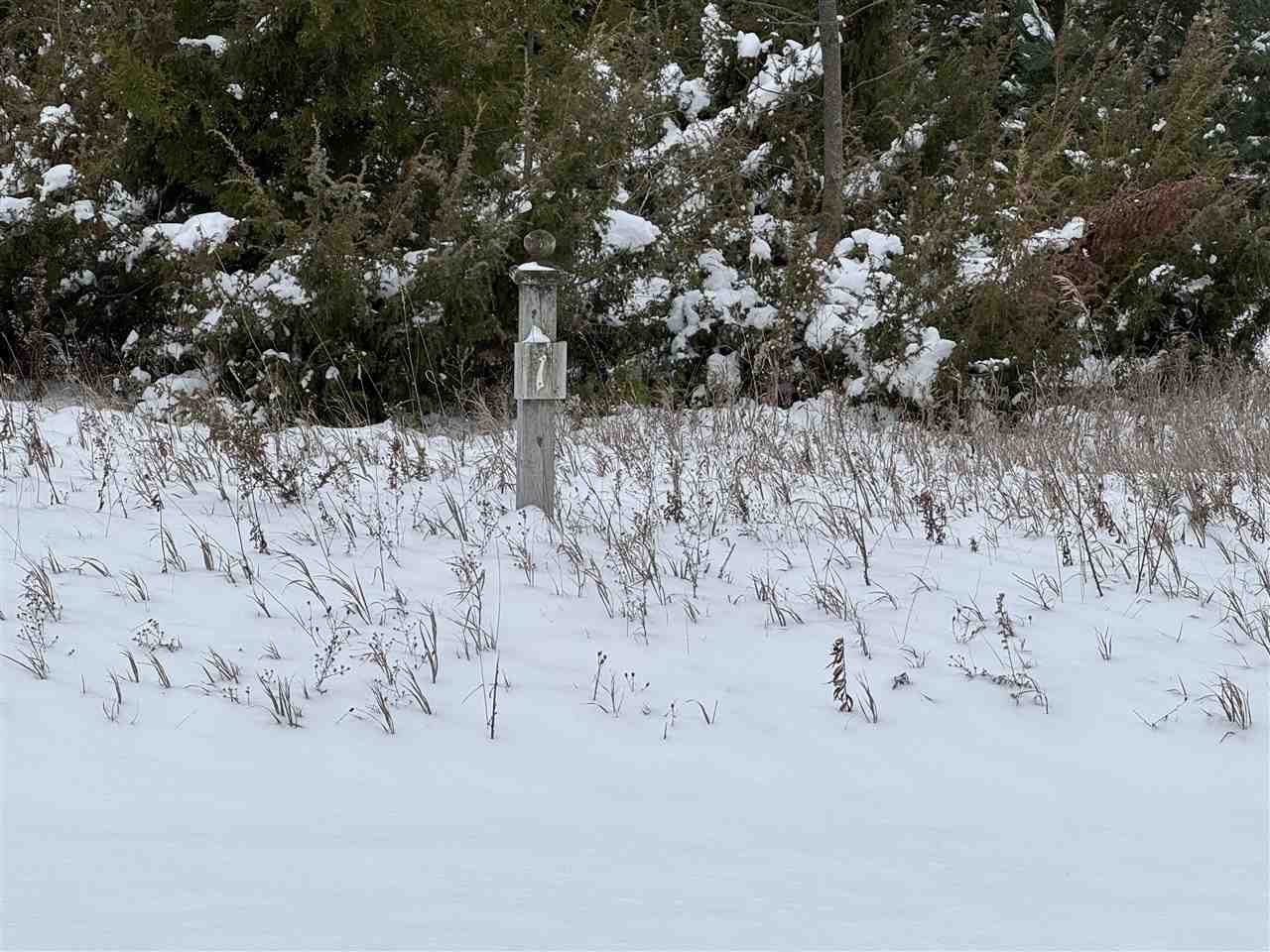 3220 Siebenhar Way Petoskey MI 49770