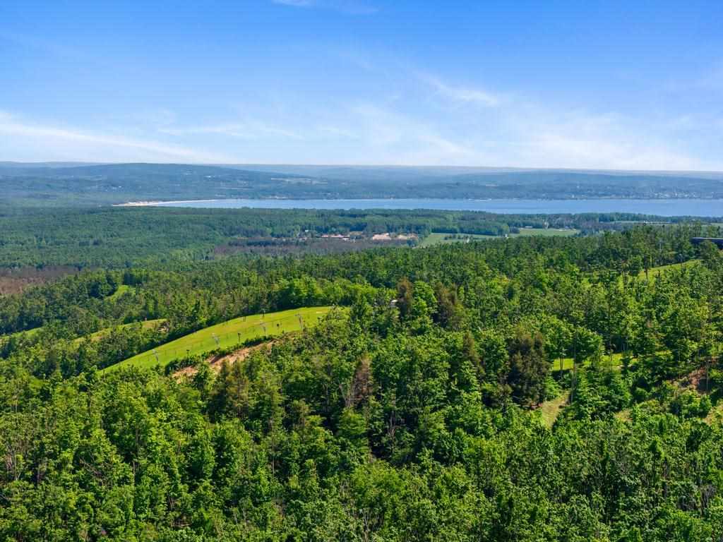1531 Andover Club Harbor Springs MI 49740