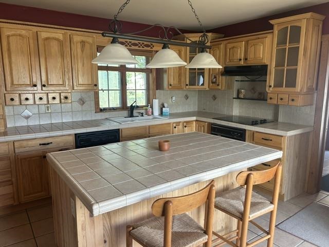 6469 Mill Street Pellston MI 49769