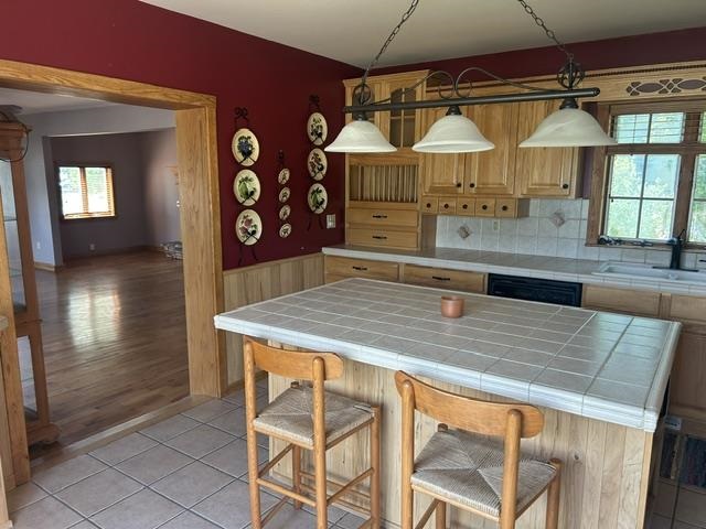 6469 Mill Street Pellston MI 49769