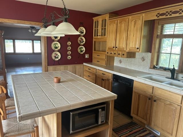 6469 Mill Street Pellston MI 49769