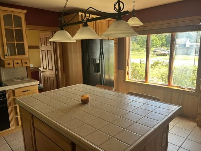 6469 Mill Street Pellston MI 49769