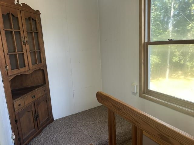 6469 Mill Street Pellston MI 49769