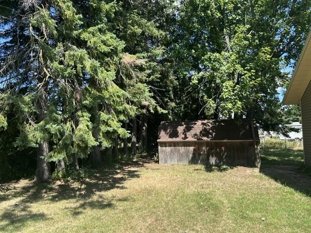 6469 Mill Street Pellston MI 49769