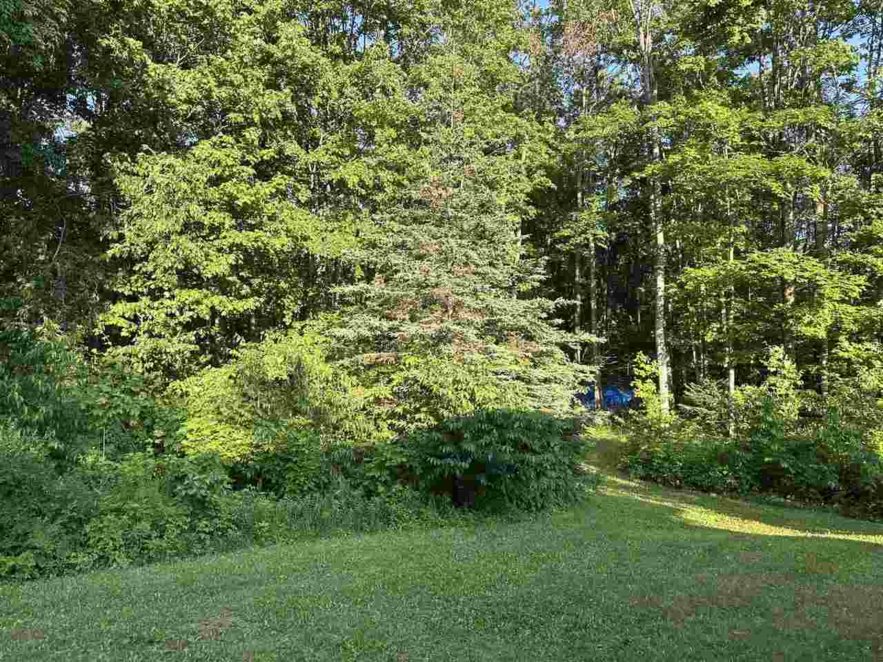 4505 S State Road Harbor Springs MI 49740