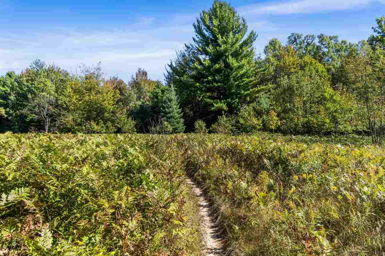 2263 Elder Road Carp Lake MI 49718