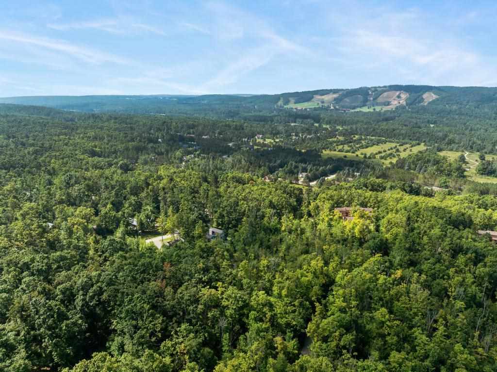 245 Winter Park Drive Harbor Springs MI 49740
