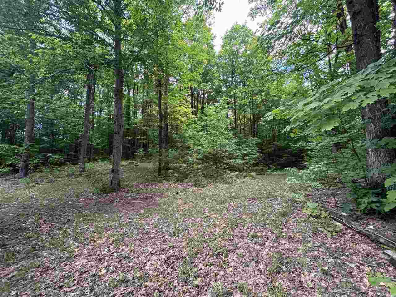 3728 Adams Road East Jordan MI 49727