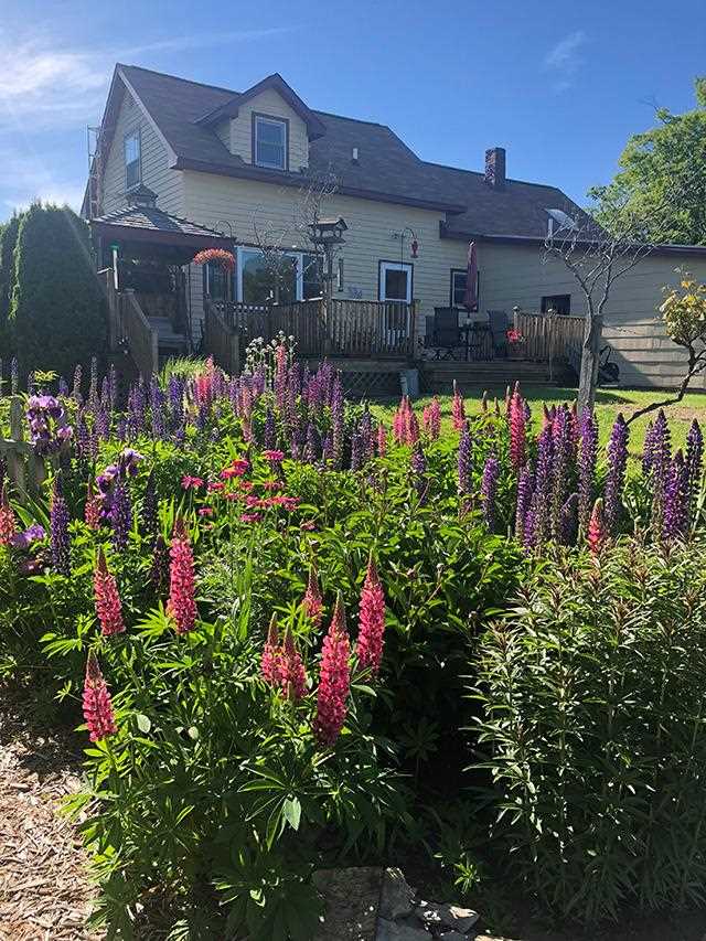 10970 Burnett Road Charlevoix MI 49720