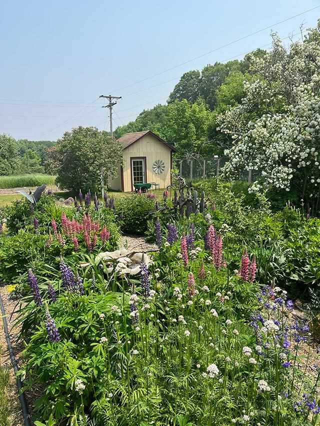 10970 Burnett Road Charlevoix MI 49720