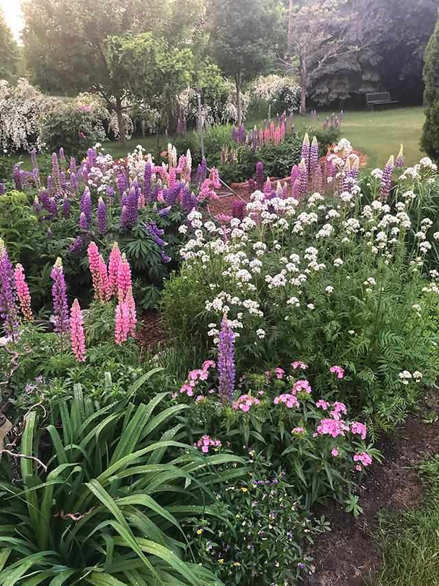 10970 Burnett Road Charlevoix MI 49720